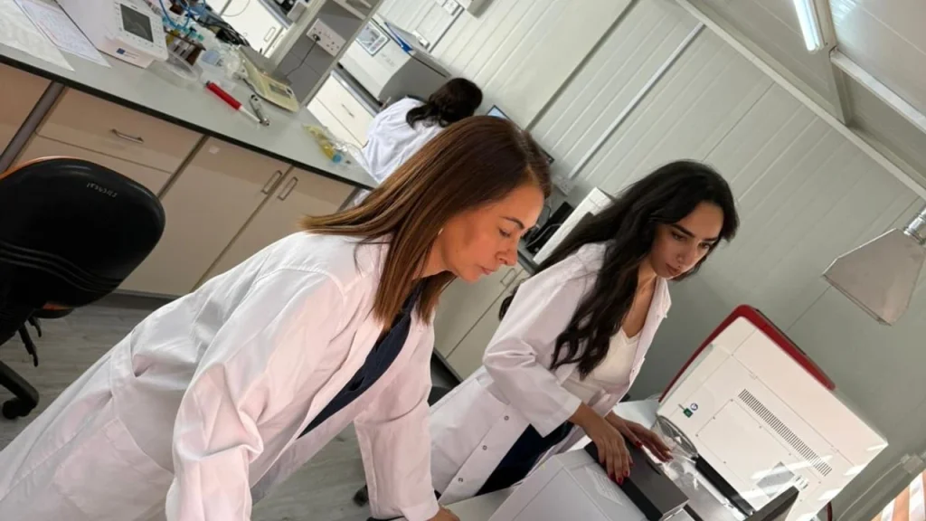 Piyasada zeytin yağı denetimi.. 1 ürün tağşişli