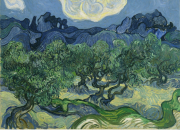 Ölümsüz Ağaç Zeytin Ve Sanat