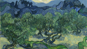 Ölümsüz Ağaç Zeytin Ve Sanat