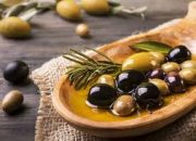 Gıdanı Tanı: Zeytin